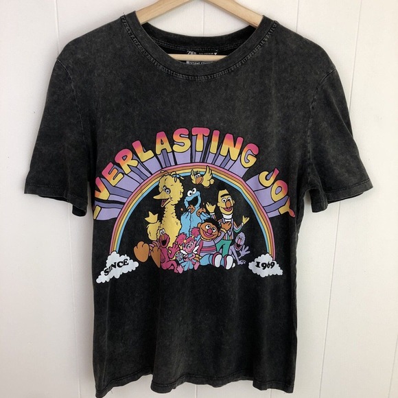 Zara Tops - RARE Zara Sesame Street‎ Collaboration Everlasting Joy 1969 T Shirt Small Gray